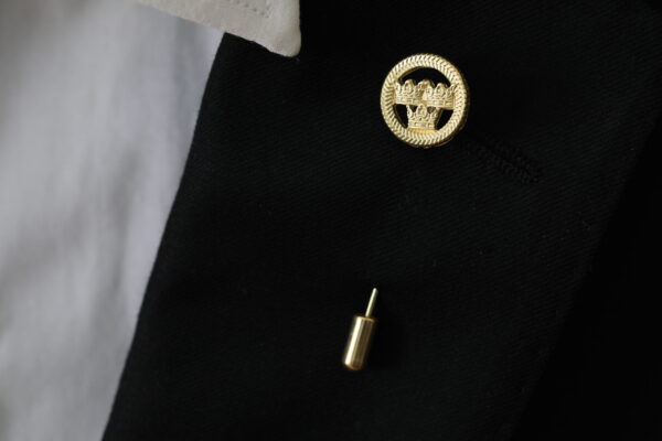 Pin (lång nål)